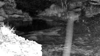 Still 1 from this detection