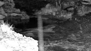 Still 1 from this detection