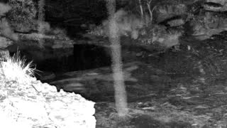 Still 2 from this detection