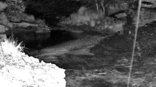 Still 2 from this detection