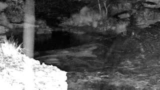 Still 3 from this detection