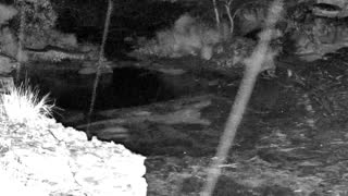 Still 2 from this detection