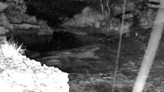 Still 1 from this detection