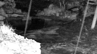 Still 3 from this detection
