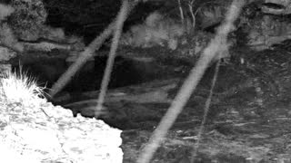 Still 2 from this detection