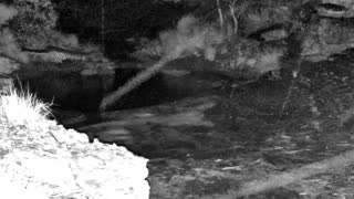 Still 1 from this detection