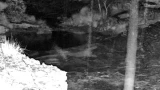 Still 2 from this detection