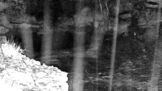 Still 3 from this detection