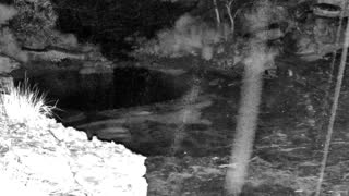 Still 1 from this detection