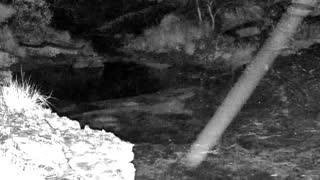 Still 1 from this detection