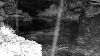 Still 3 from this detection