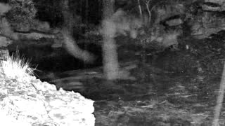 Still 1 from this detection