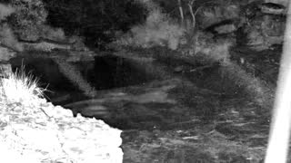 Still 2 from this detection