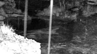 Still 2 from this detection