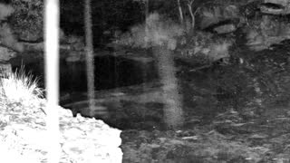 Still 3 from this detection