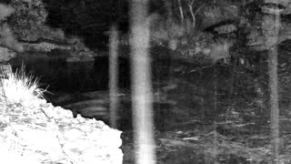 Still 2 from this detection