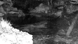 Still 3 from this detection