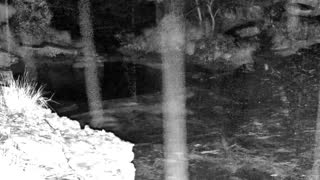 Still 3 from this detection