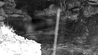 Still 2 from this detection