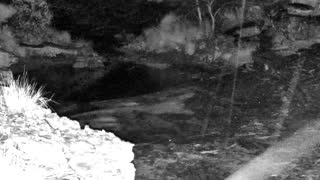 Still 1 from this detection