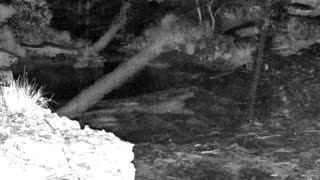 Still 2 from this detection
