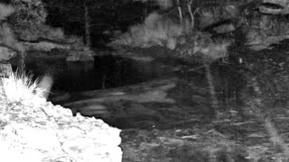 Still 2 from this detection