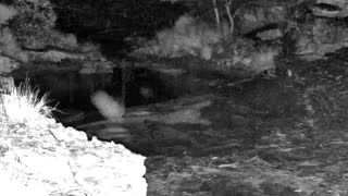 Still 1 from this detection