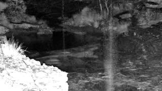Still 1 from this detection