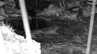 Still 1 from this detection