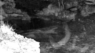 Still 3 from this detection