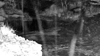 Still 2 from this detection