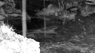 Still 1 from this detection