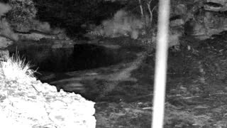 Still 2 from this detection