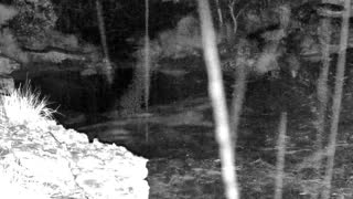Still 3 from this detection