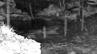 Still 2 from this detection