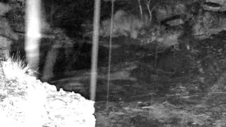 Still 3 from this detection