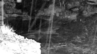 Still 1 from this detection
