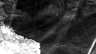 Still 2 from this detection