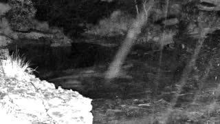 Still 3 from this detection