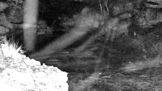 Still 1 from this detection