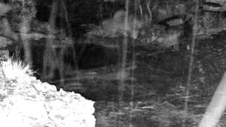 Still 2 from this detection