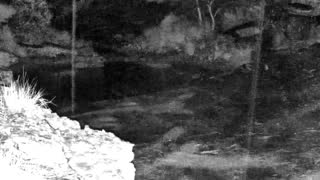 Still 3 from this detection