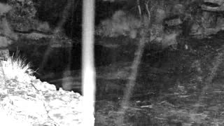 Still 1 from this detection
