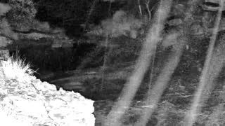Still 3 from this detection