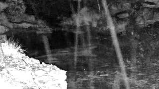 Still 2 from this detection