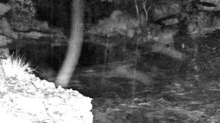 Still 1 from this detection