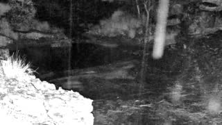 Still 2 from this detection