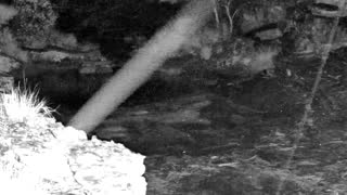 Still 1 from this detection