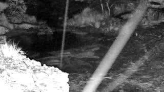 Still 3 from this detection