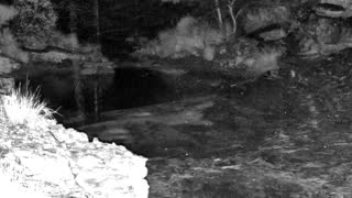Still 1 from this detection